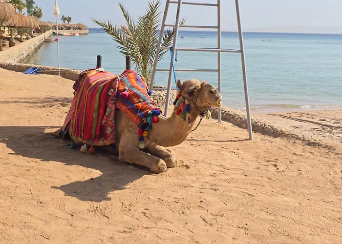 Appartamento Dive Tiba Golden Hurghada
